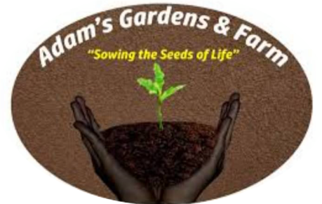 "AGF Logo, Hands hold dirt from which grows a green plant"