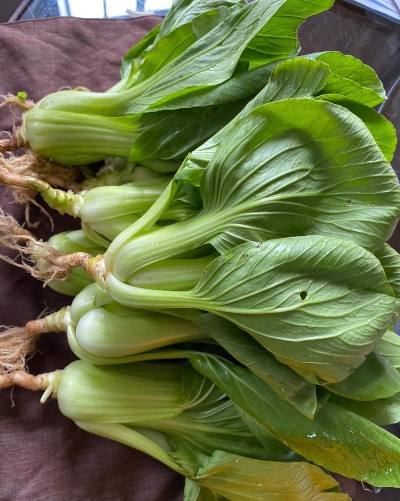 several green bokchoy are spread out on a table
