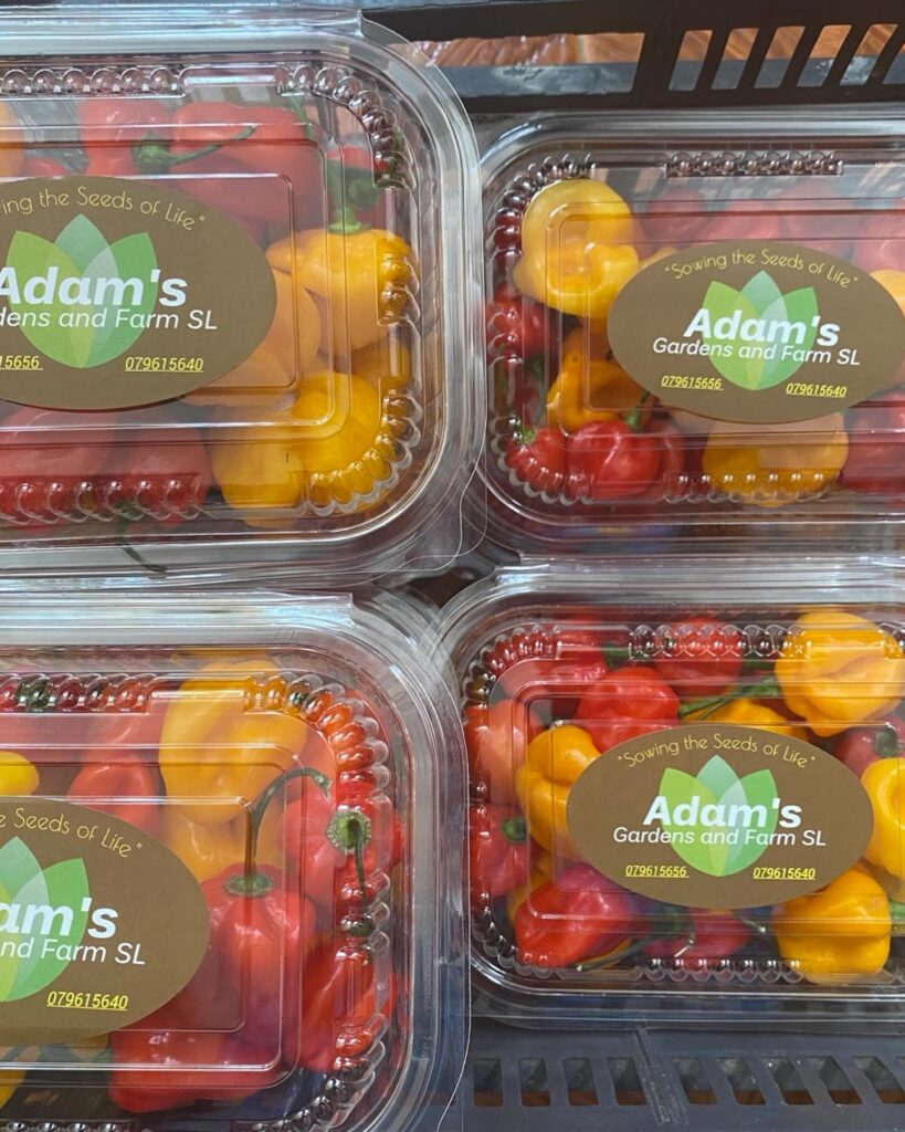 Multiple containers of habaneros of various colors