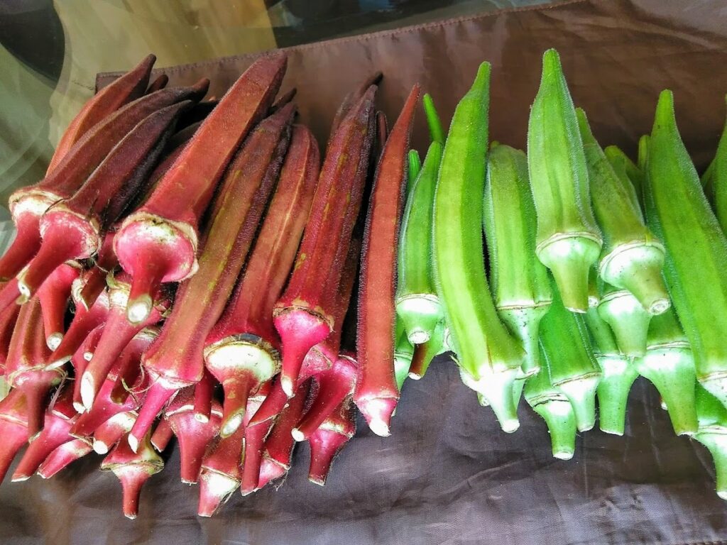 Red and green okra are spread out on a table